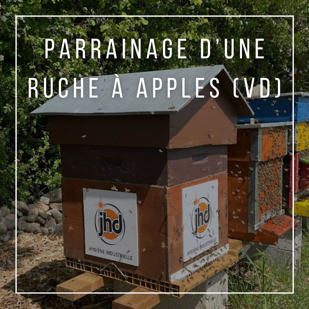 🐝 JHD engage de nouvelles… abeilles ! 🍯
