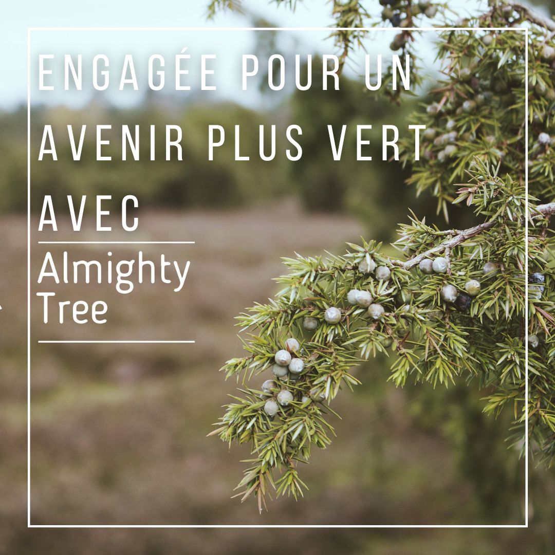 🌳 Engagés pour un avenir plus vert ! 🌍