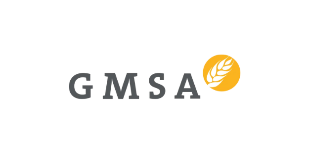 GMSA